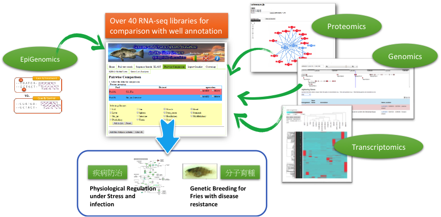 Bioinformatics for Mass Spectrometry-based Proteomics